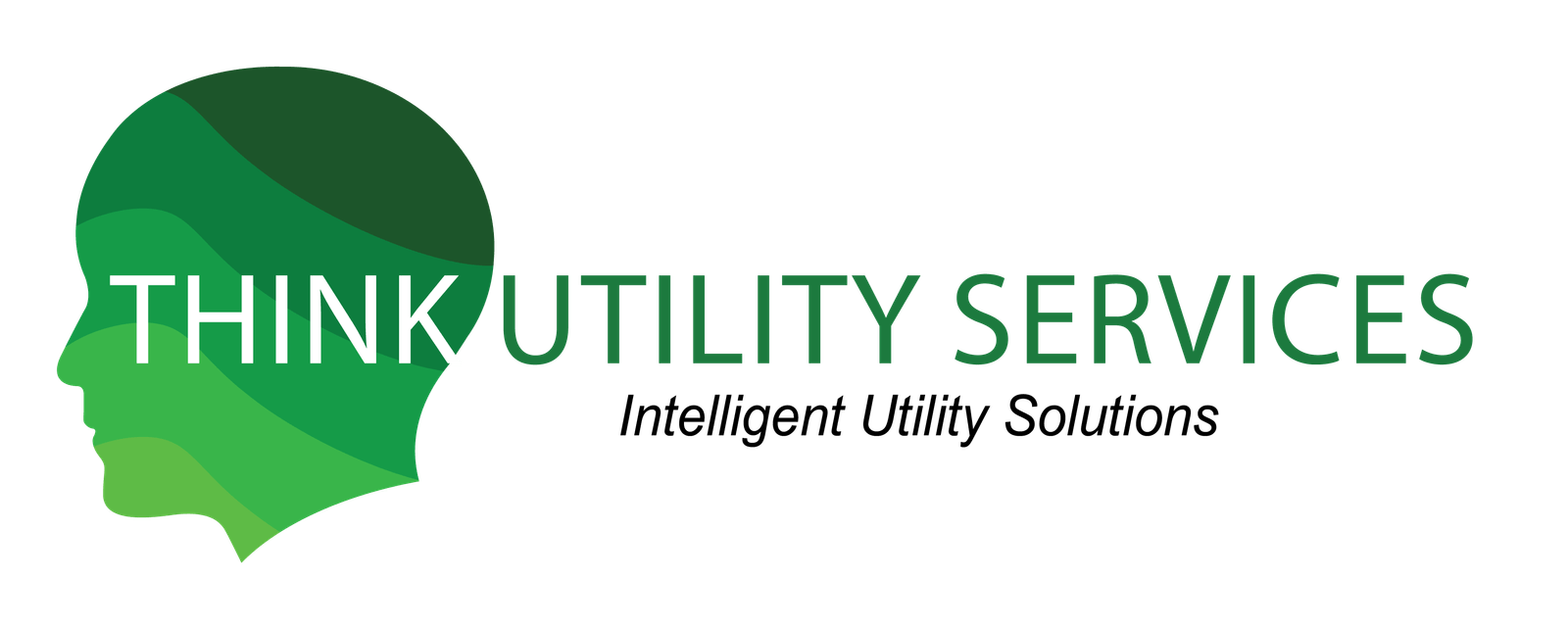 Think Utility Services Logo